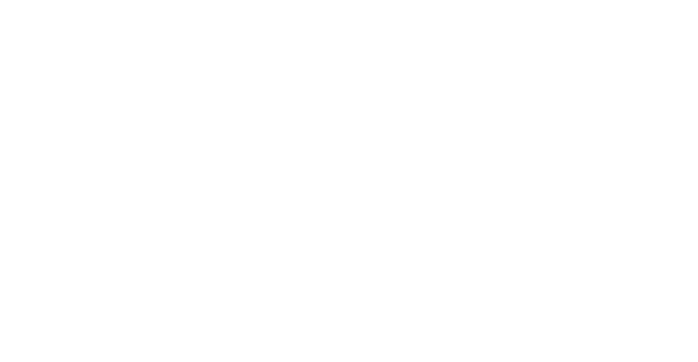 Ballerini Auto